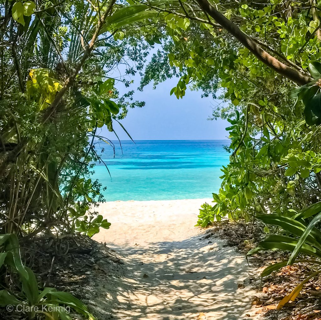 Walking through the pathways of Coco Bodu Hithi